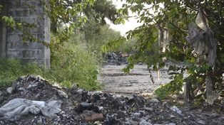 Quieren usar IA y cámaras para multar a quienes tiren basura ilegalmente