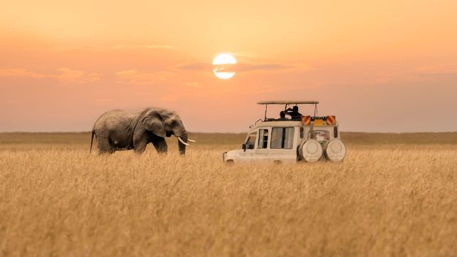 África: un continente de asombrosa diversidad y belleza África: un continente de asombrosa diversidad y belleza