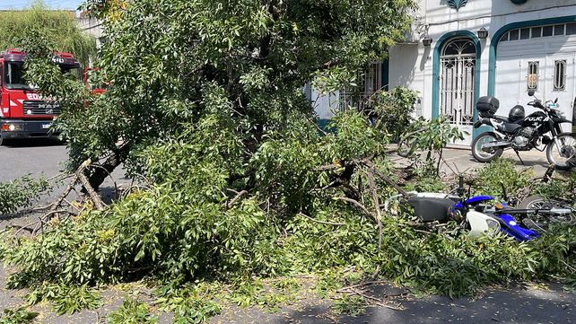 Un árbol cayó sobre una moto en la que iban dos personas en San Lorenzo y Riccheri
