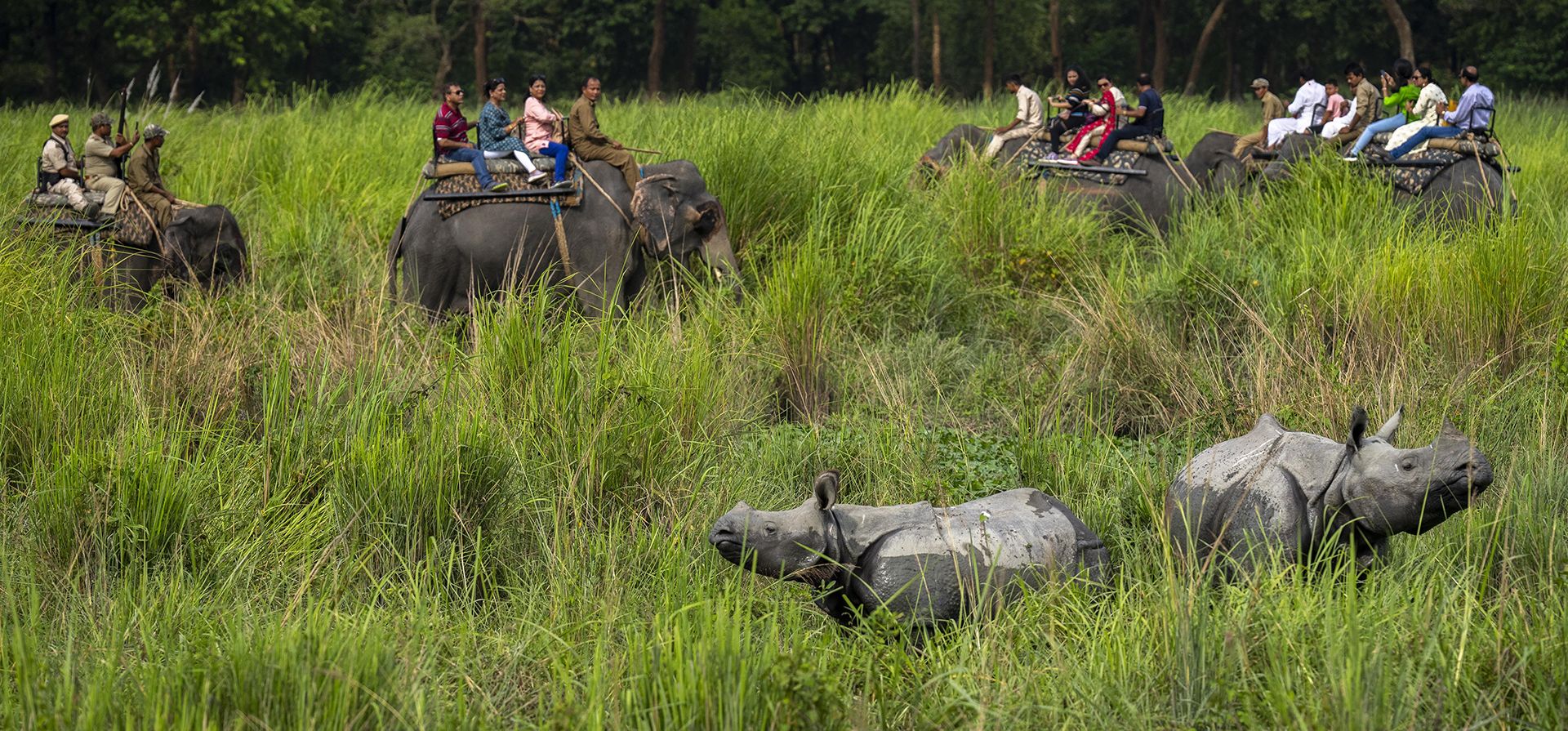 Turistas en elefantes observan a un par de madres y crías de rinocerontes de un cuerno en el Santuario de Vida Silvestre de Pobitora, en las afueras de Guwahati, en el estado nororiental de Assam, India, el martes 11 de octubre de 2022.