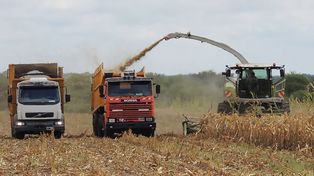 Entre Ríos: entró en vigencia el nuevo régimen ambiental