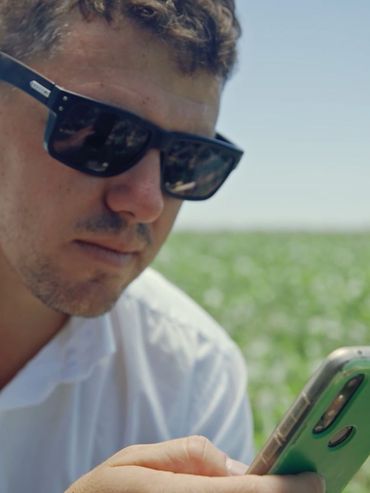 Lo que dejó la última campaña de trigo en los campos monitoreados por Sima