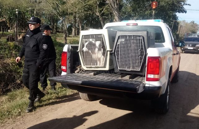 Allanamientos en Recreo por el crimen de Diego Román.