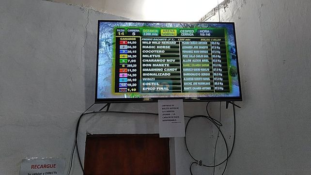 Desbaratan en La Paz agencias ilegales de apuestas en hipódromos