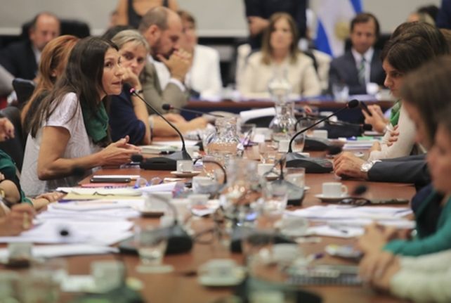 plenario de comisiones. La diputada kirchnerista Mónica Macha debate durante el comienzo del tratamiento del proyecto de legalizar el aborto.