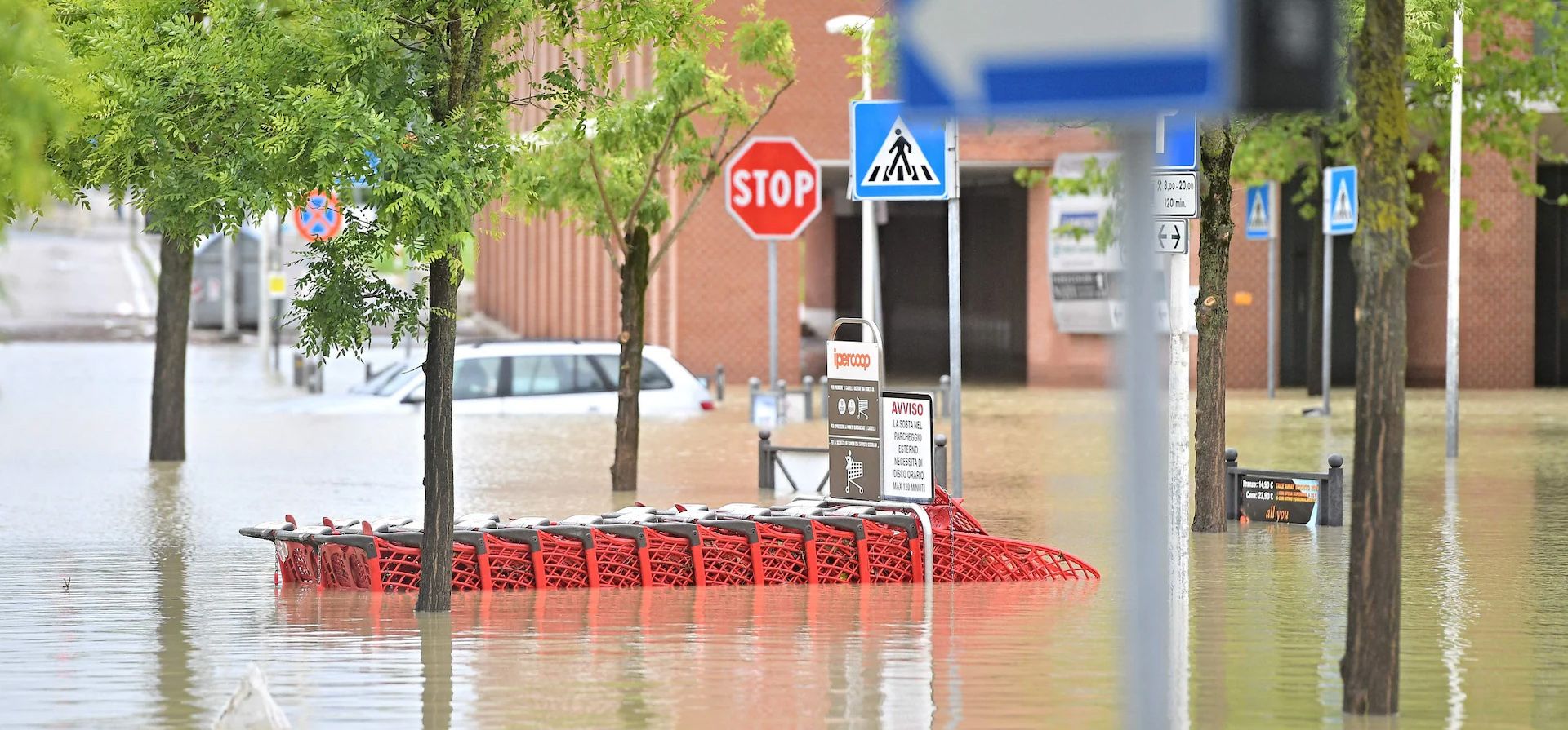 Una fila de carritos de supermercado quedaron bajo las aguas de las lluvias torrenciales que azotan la región.