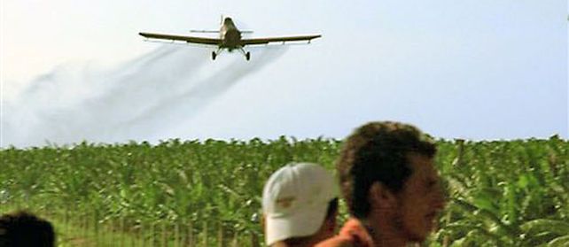 Agroquimicos y salud. Reclaman que sean prohibidas las fumigaciones aéreas