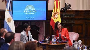 Senado: la oposición pide tratar el DNU, Villarruel no convoca a sesión