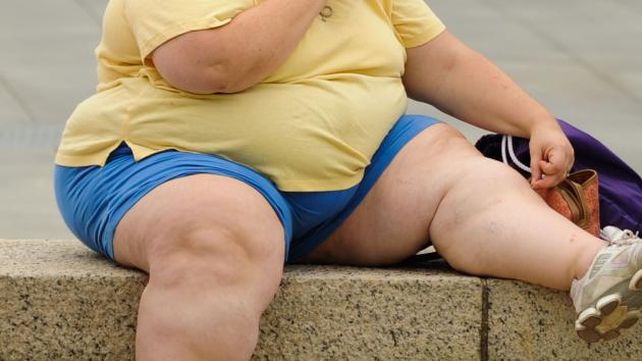 La obesidad