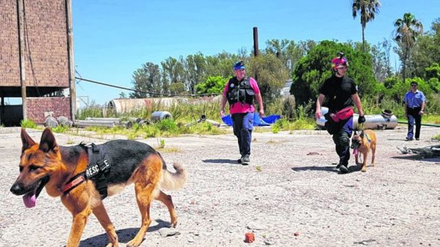 Hallaron sin vida a un hombre buscado en Sastre