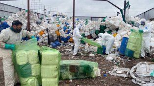 Están disponibles los registros de personas habilitadas para el manejo de fitosanitarios.&nbsp;