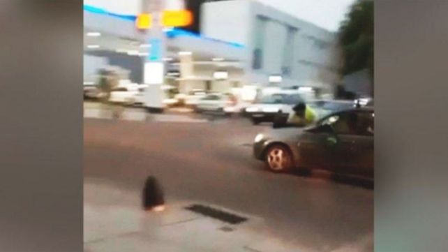 El conductor del Chevrolet Corsa lleva en el capot del auto al inspector atropellado. (Foto: captura de video)