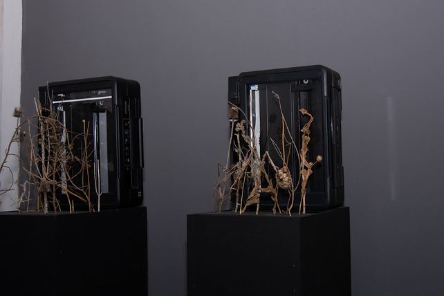 Muestra de arte
