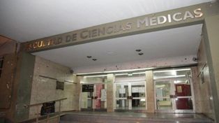 En La Plata inventaron un método para regenerar la piel