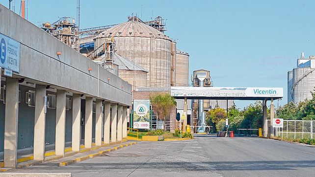 Crisis. Las plantas de Vicent&iacute;n quedaron casi paralizadas