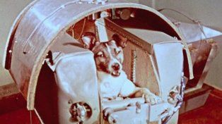 A 65 años del día en que Rusia envió a Laika al espacio