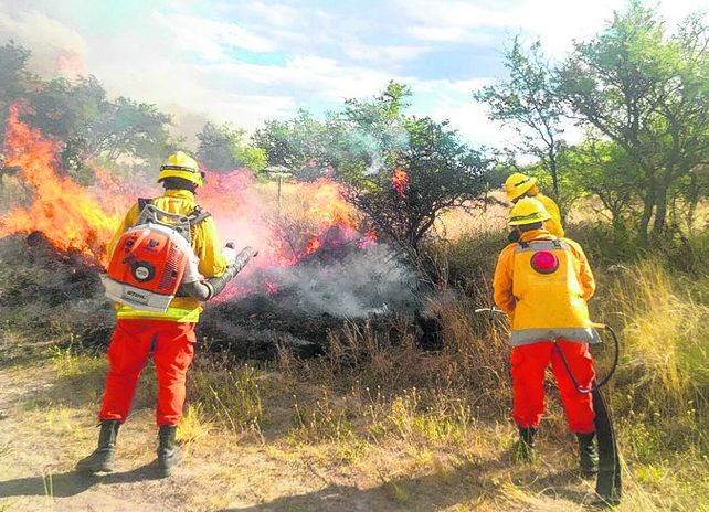 Pavoroso. El fuego en la localidad bonaerense de La Adela.