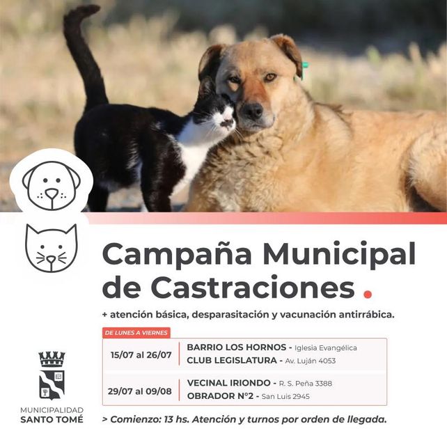 La Campaña Municipal de Castraciones sigue atendiendo en distintos puntos de la ciudad La Campaña Municipal de Castraciones sigue atendiendo en distintos puntos de la ciudad