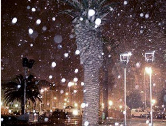 Gran cantidad de copos de nieve comenzaron a caer alrededor de las 0.15 en esa ciudad balnearia.
