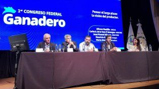 Bustillo de Angus, de la Tour de Hereford, Alberro de Bradford y Groppo de Brangus participaron del congreso de Rosgan (Créditos: Nuestro Agro)