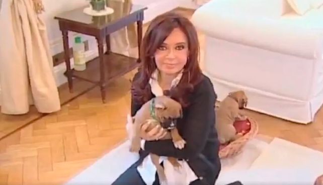 El tierno video de Cristina Kirchner con sus mascotas en la Quinta de Olivos.