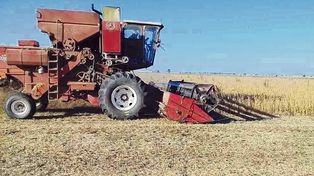 in situ. El productor agropecuario registró la imagen de la cosechadora utilizada para el hurto.