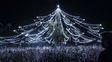 El arbolito de Oroño y Pellegrini se ilumina para celebrar Navidad