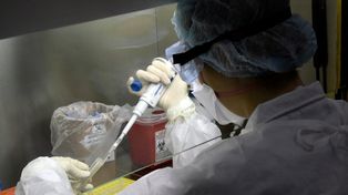Coronavirus: detectaron cinco nuevos casos de variante Delta en Córdoba
