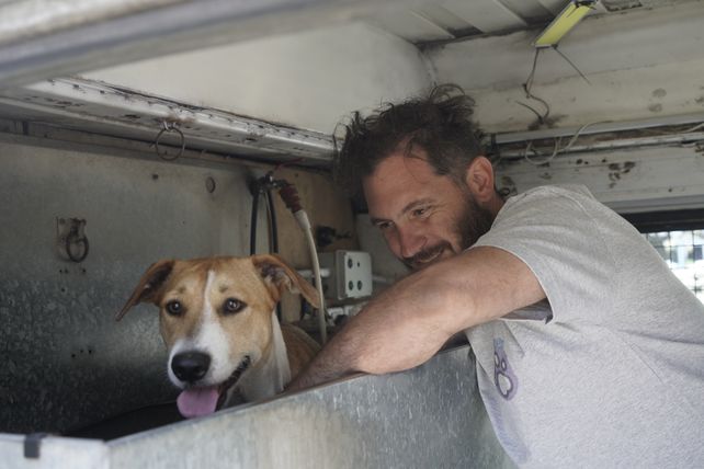 Los móviles están preparados con un sistema de seguridad para evitar que los animales se escapen.