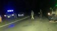 murio un motociclista tras un choque sobre la ruta n° 2 cerca de chajari murio un motociclista tras un choque sobre la ruta n° 2 cerca de chajari