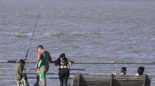 La mayor presencia de agua y la gran cantidad de camalotes que arrastra el río cambiaron completamente la postal habitual.