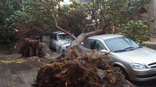 Un fuerte temporal de lluvia y viento trajo inconvenientes en la ciudad de Santa Fe