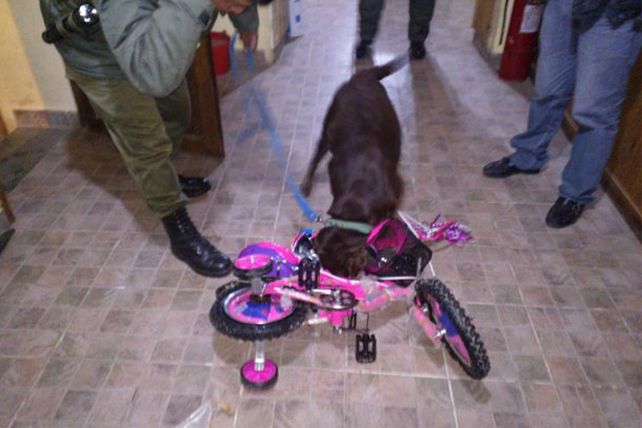 Escondían cocaína en juguetes para niños