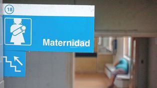 Poletti aseguró que la maternidad será uno de las área que no se tocará y solo se atenderá a pacientes no covid
