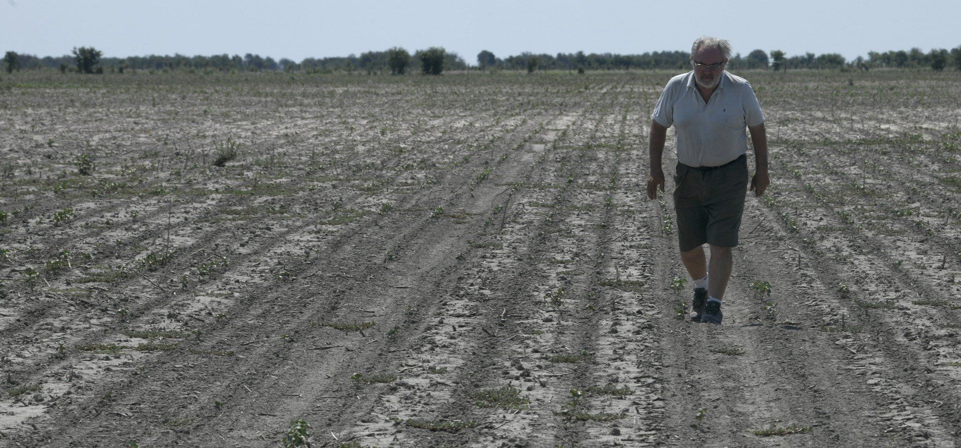 El campo en crisis: análisis del impacto de la sequía en la zona núcleo