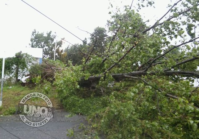 Terrible temporal de lluvia y viento generó graves destrozos en Paraná