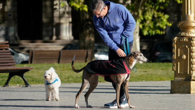 Rosario podría tener dispensadores de bolsas para recoger excrementos de perros
