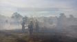 por una accion irresponsable comenzo el incendio que complico a los bomberos por una accion irresponsable comenzo el incendio que complico a los bomberos