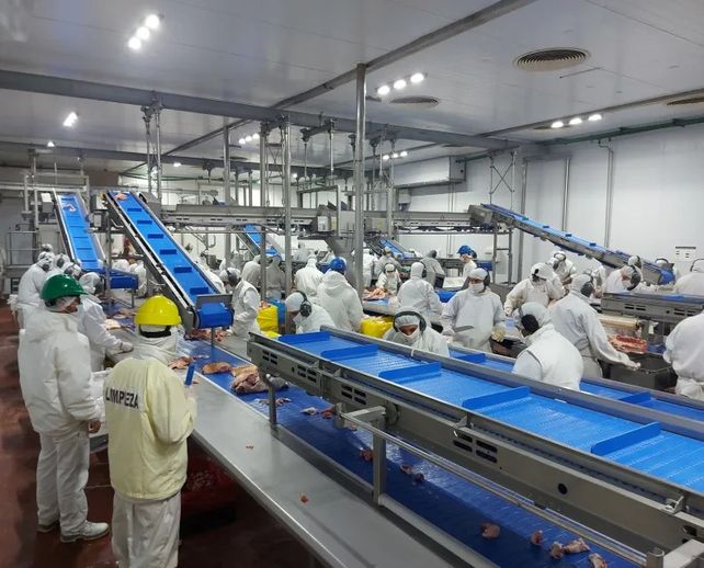 La faenadora de Reconquista emplea entre 240 y 260 empleados