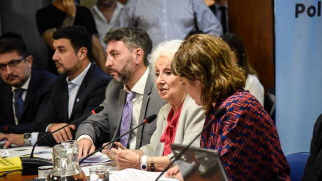 Estela de Carlotto, de Abuelas de Plaza de Mayo, fue una de las personas que desfilaron por el segundo piso del anexo de Diputados  para dar su testimonio en el juicio a la Corte. 