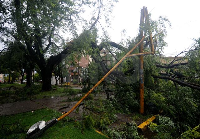 Plazas y paseos fueron los más afectados por la caída de postes de eectricidad