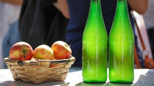 Proponen producir vinagre y alcohol con desechos de sidra