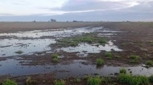 Efecto significativo de las lluvias del fin de semana en la región núcleo