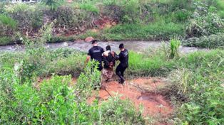 Fue a pasar Navidad con su familia, y sus hermanos abusaron de ella