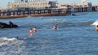 Buena temperatura y pocas lluvias anticipan el SMN