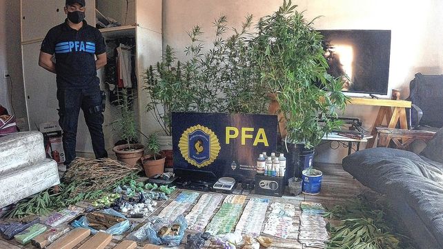 Freezer verde: detenido por acopiar 10 kilos de marihuana
