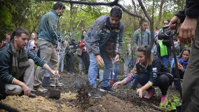 Alumnos reforestaron un monte nativo arrasado por un incendio