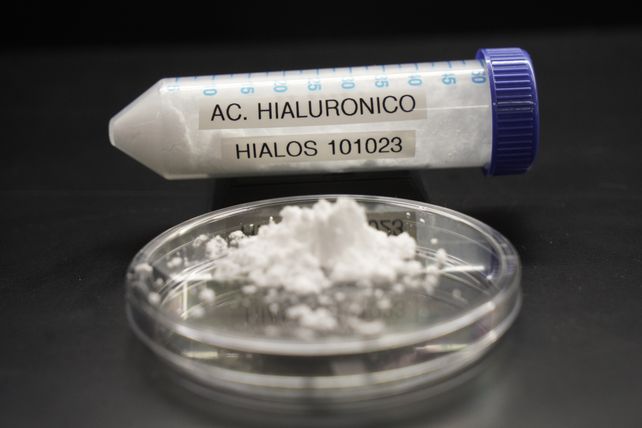 Producto final: este es el polvo concentrado de ácido hialurónico.