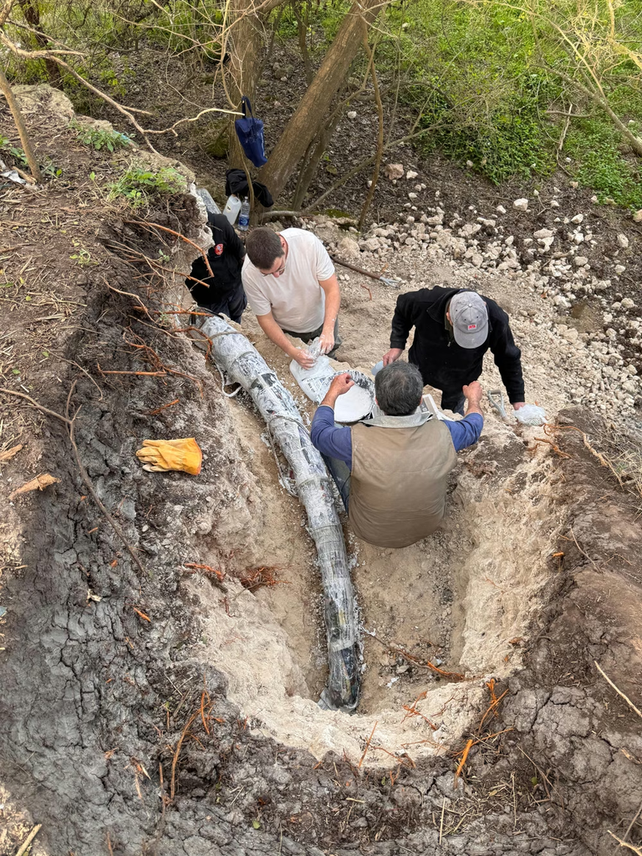 Hallan en San Pedro el colmillo más largo de un mastodonte de 500 mil años: cuánto mide