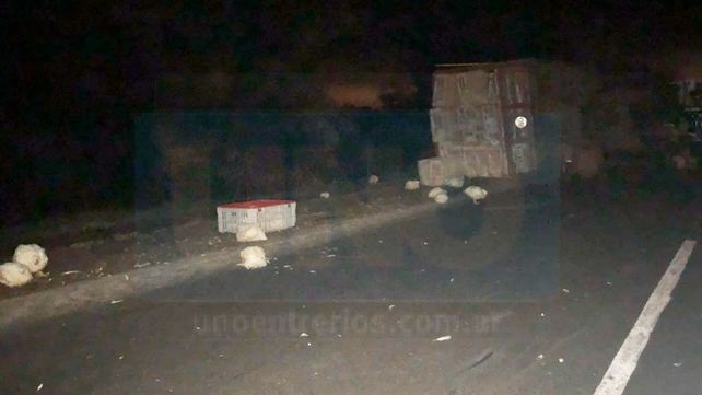 Camión que trasladaba pollos volcó en la Ruta 12: el chofer fue hospitalizado